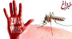 دستورالعمل جدید برای مقابله با ویروس زیکا
