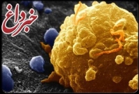 کشف راهی برای دور زدن سلول‌های سرطانی!