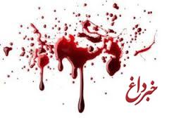 قتل عام 8 عضو یک خانواده در ایرانشهر/ عوامل اصلی جنایت تحت تعقیب هستند