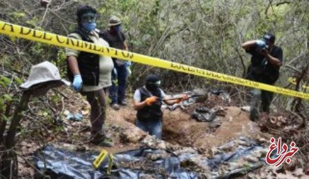 قربانیان مافیای مواد مخدر در گورهای مخفی مکزیک/ 242جسد کشف شد