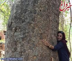 بازیگر معروف در آغوش یک درخت +عکس
