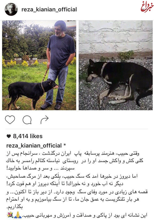 سگ حبیب؛ وفادار ترین سگ دنیا