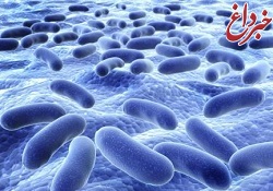 تشخیص باکتری های مضر در غذا با حسگر زیستی نانوگل