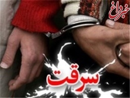 ارسلان و اردلان، پدر و پسر، دزد خودروهای تهران/ از ۵۰ خودرو سرقت کردند
