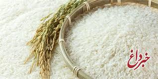 واردات برنج بجای مقابله با گران‌فروشی!