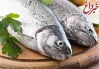 گرانی ۵ نوع ماهی در بازار