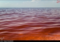 درخواست نجات دریاچه ارومیه از دی کاپریو تا رضا کیانیان
