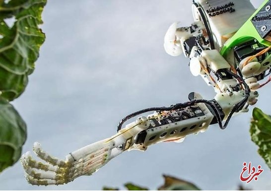 ربات‌های کشاورز در انگلیس مشغول به کار می‌شوند