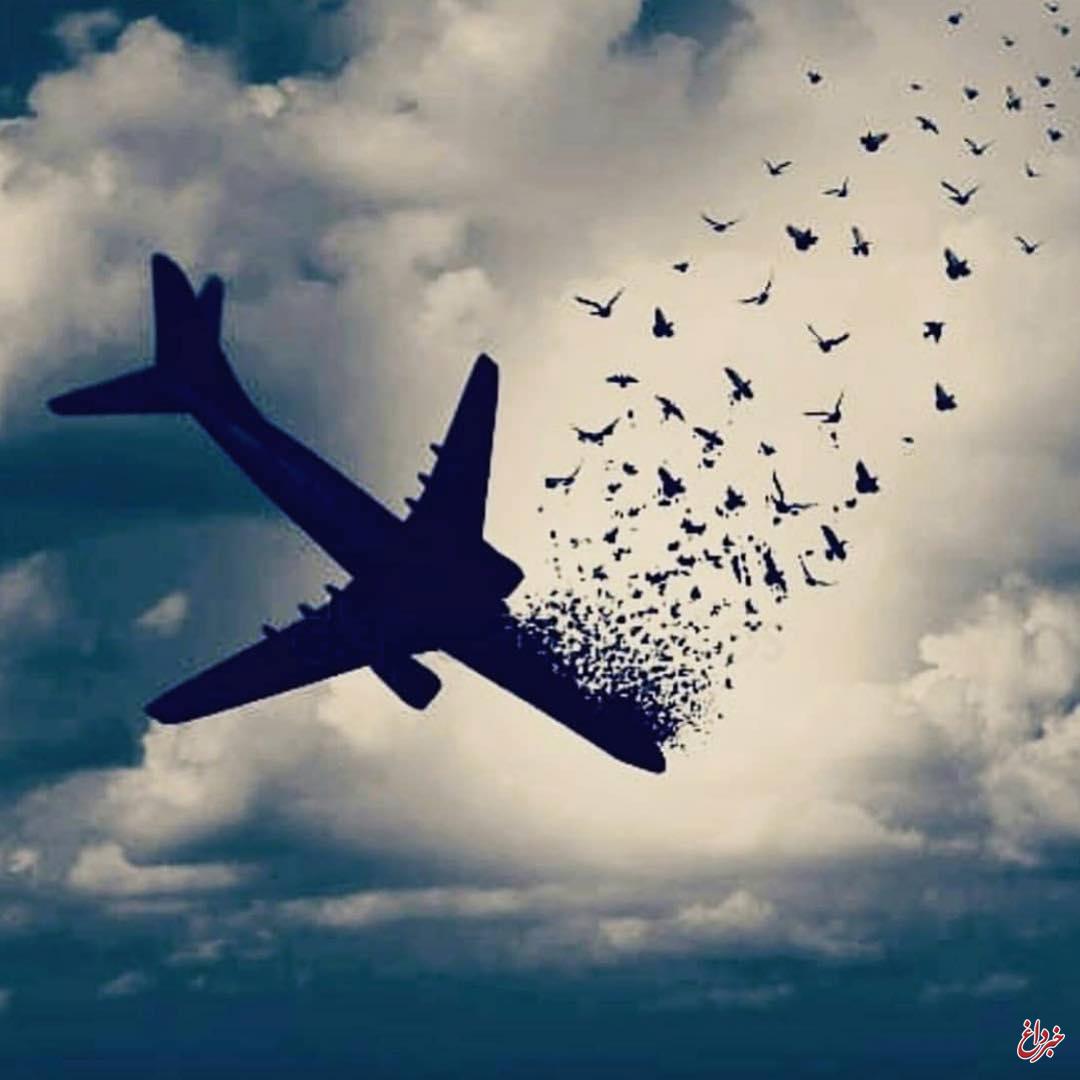 واکنش «آسمان» به گزارش سقوط پرواز یاسوج