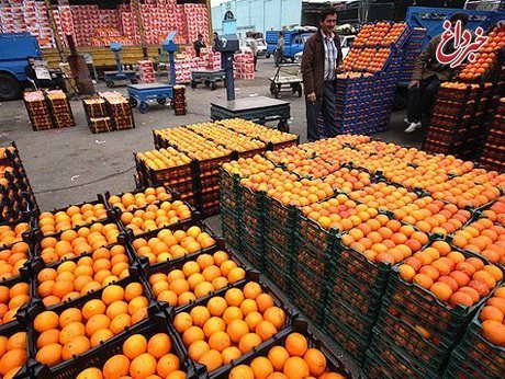آغاز توزیع میوه‌های دولتی برای عید از امروز/ هر کیلوگرم پرتقال درجه یک شمال ۱۸۰۰ تومان و هر کیلوگرم سیب زرد و قرمز درجه یک ۲۷۰۰ تومان