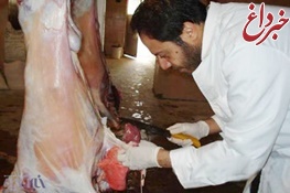 تکذیب فوت یک بیمار به دلیل تب کریمه در تهران/ از محل‌های مطمئن گوشت بخرید