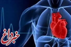 شیوع ۵۷ درصدی بیماری‌های قلبی در مردان بالای۶۰سال/ گزارش روزانه۳۰۰ مرگ با آنفارکتوس قلبی