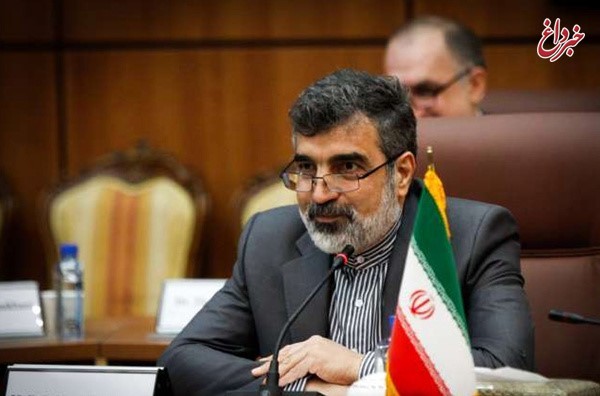 بررسی نقشه راه همکاری‌های هسته‌ای ایران و روسیه