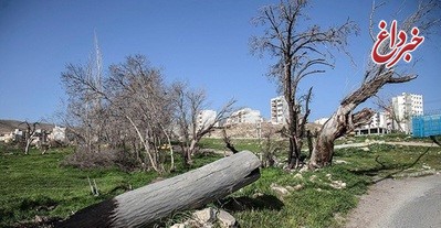 داغ باغ‌ها/ بنياد مستضعفان باغ ١٤ هزارمتری در شمال تهران را فروخت