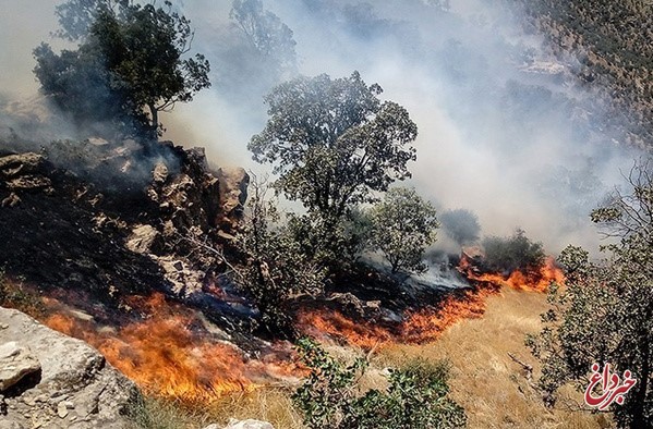بسیج و نیروی انتظامی در مهار آتش‌سوزی‌های منابع طبیعی استان همکاری خوبی کرده‌اند