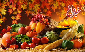 مواد غذایی برای تقویت بدن در روزهای پاییزی