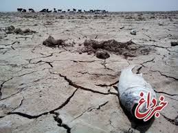 حبیب الله دهمرده: فاجعه خشکسالی در سیستان/ مرز سیستان تنها مرزی است که بیش از 80 درصد صادرات دارد