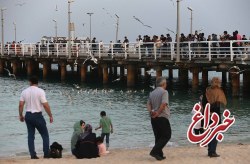 برگزاری مسابقه ماهیگیری خانواده ها ویژه دهه فجر در جزیره کیش