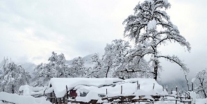 بارش برف در ارتفاعات مازندران