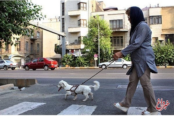 سگ گردانی در تهران ممنوع شد/ برخورد شدید در انتظار متخلفان/ مکان‌های عمومی جای رفت و آمد حیوانات نیست