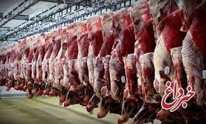 توضیح یک مقام مسئول درباره واردات گوشت فله‌ای به کشور