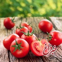 دانه‌های گوجه فرنگی، بهتر از آسپرین است+ خواص گوجه فرنگی