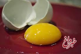 زرده تخم مرغ چگونه می تواند به زیبایی و تغذیه مو کمک کند؟