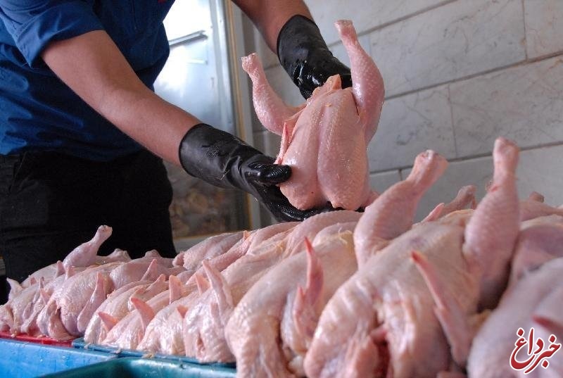 آخرین تحولات بازار مرغ و ماهی/ نرخ هر کیلو مرغ به ۷۲۵۰ تومان رسید