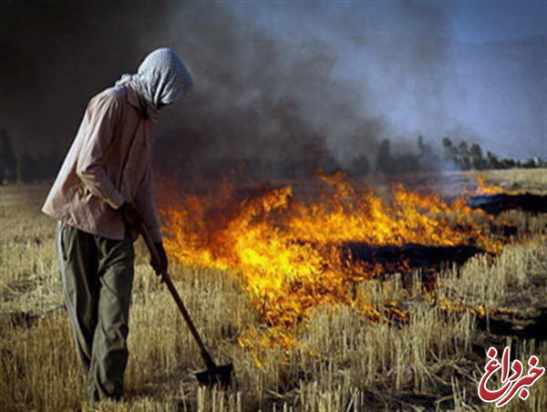 دستگیری کشاورز حین آتش زدن بقایای گندم