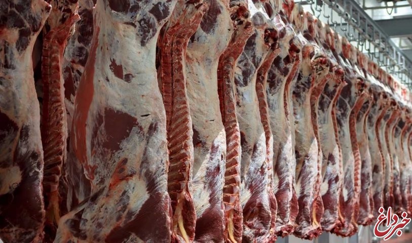 سرانه تولید گوشت قرمز چقدر است؟