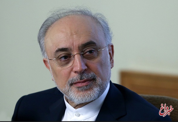 علی اکبر صالحی: چنانچه اهداف مورد نظر ایران از این توافق حاصل نشود، امکان حفظ آن ناممکن است