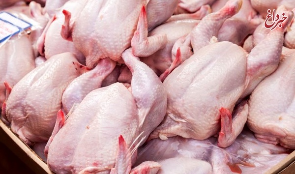 مرغ ۹۲۵۰ تومانی صحت ندارد؛ قیمت مرغ در خرده فروشی‌ها ۸۹۰۰ تومان است