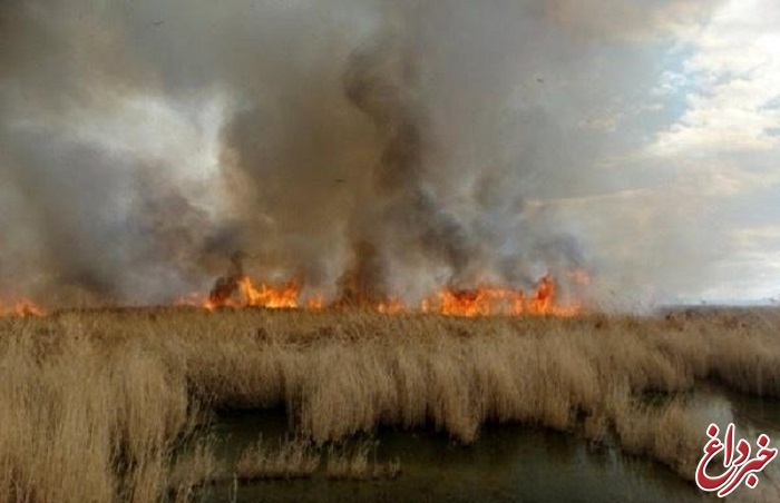 اطفای کامل آتش‌سوزی در هورالعظیم/ ایران و عراق جلسه امنیتی برگزار می‌کنند