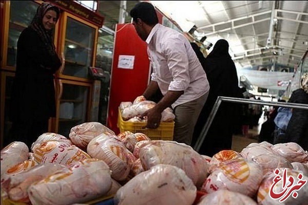 فروش مرغ بیش از ۸۲۰۰ تومان تخلف است/ عرضه مرغ‌های دولتی در بازار