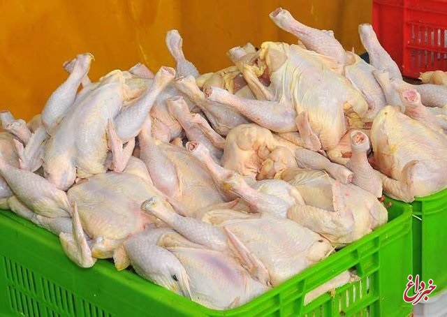 کاهش نرخ مرغ در بازار/ قیمت به ۹۷۵۰ تومان رسید