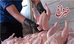 رئیس اتحادیه پرنده و ماهی، از افزایش قیمت مرغ به ۱۰ هزار و ۱۰۰ تومان خبر داد