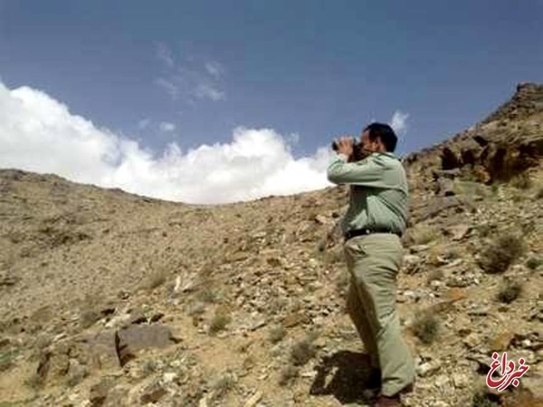 شهادت محیط بان پارک ملی گلستان در درگیری با شکارچیان غیرمجاز / دو محیط بان هم زخمی شدند