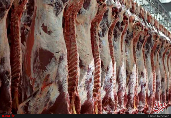 دولت چاره‌ای جز واردات گوشت منجمد ندارد/ گوشت گرم در خرده فروشی‌ها 70 هزار تومان عرضه می‌شود/ افزایش اجاره قصابی‌ها از سوی اتباع خارجی/ قاچاق دام همچنان ادامه دارد