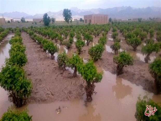 پرداخت خسارت سیل به کشاورزان خوزستان از ۲۴ فروردین