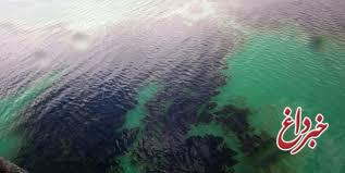 مشاهده لکه نفتی در کانال سلمان در اهواز
