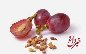 عصاره دانه انگور موجب بهبود سندروم متابولیک می شود