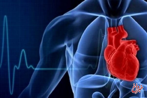 تناسب قلب و عروق می تواند از حمله قلبی در زنان پیشگیری کند