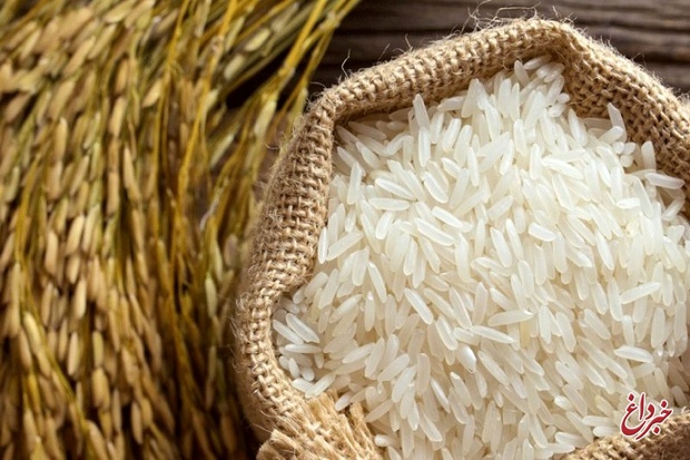 سال طلایی تولید برنج؛ بارندگی‌ها هیچ تأثیری برقیمت برنج نخواهد گذاشت