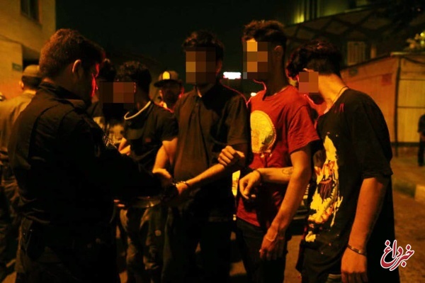 دستگیری ۲۵ نفر از اراذل در پارک دانشجو
