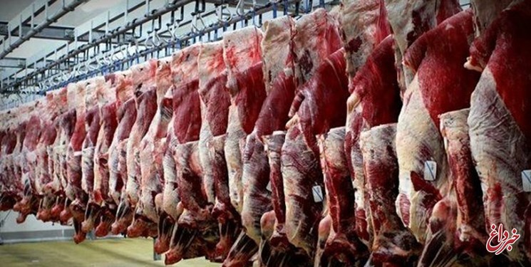 جهاد کشاورزی: قیمت گوشت کاهش می‌یابد/ عرضه تدریجی دام‌های انباشته شده در دامداری‌ها