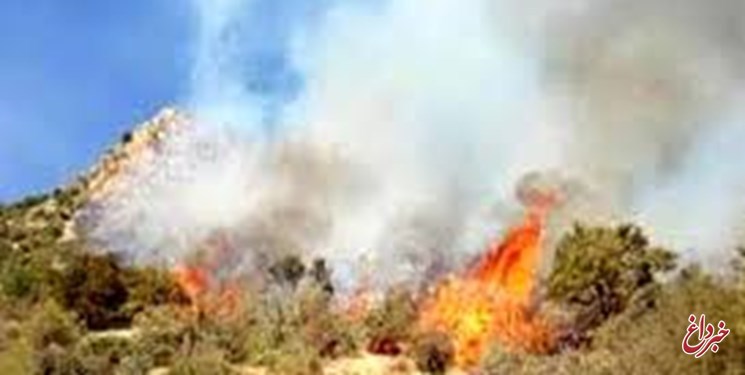 3.5 هکتار از جنگل‌های کیاسر در آتش سوخت/ عمدی بودن آتش‌سوزی
