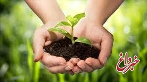 آیین‌نامه اجرایی قانون «حفاظت از خاک» در دستور کار دولت قرار می‌گیرد
