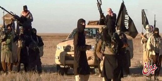 ۱۱ فرمانده ارشد داعش کشته شدند