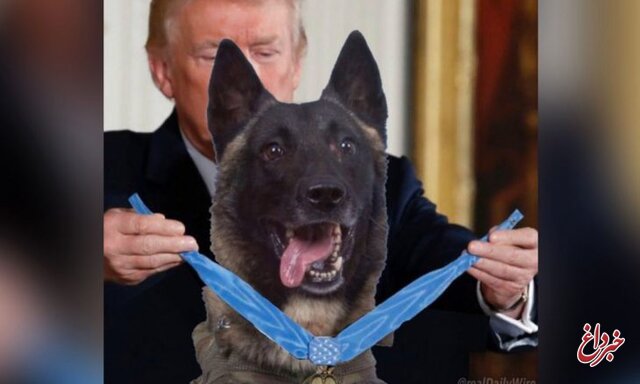 ترامپ: سگ یابنده البغدادی را به کاخ سفید فرامی‌خوانم / توجه رسانه‌ها به این سگ حتی بیشتر از توجه آنها به من بود