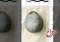 کشف تخم مرغهای 1700 ساله در انگلیس